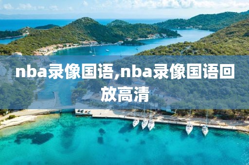 nba录像国语,nba录像国语回放高清-第1张图片-懂球帝