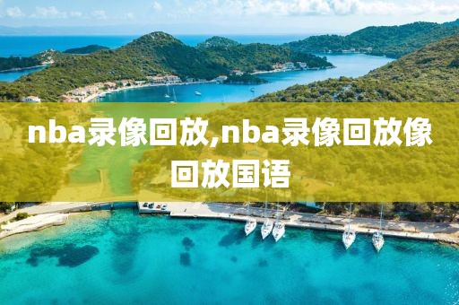 nba录像回放,nba录像回放像回放国语-第1张图片-懂球帝