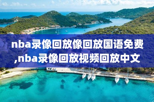 nba录像回放像回放国语免费,nba录像回放视频回放中文-第1张图片-懂球帝