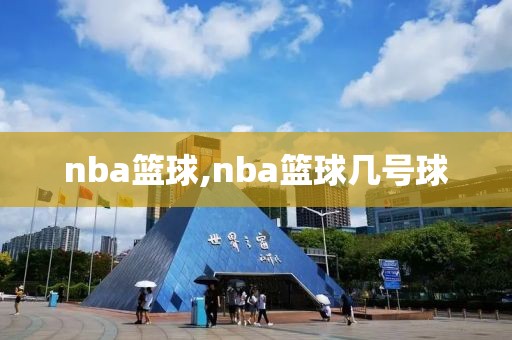 nba篮球,nba篮球几号球-第1张图片-懂球帝