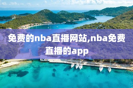 免费的nba直播网站,nba免费直播的app-第1张图片-懂球帝