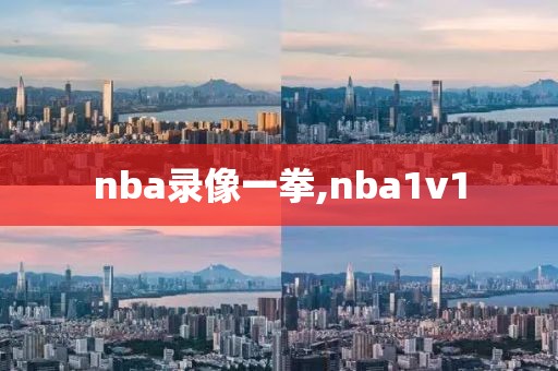 nba录像一拳,nba1v1-第1张图片-懂球帝