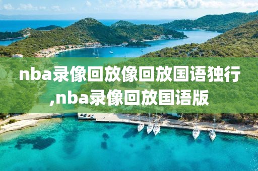 nba录像回放像回放国语独行,nba录像回放国语版-第1张图片-懂球帝