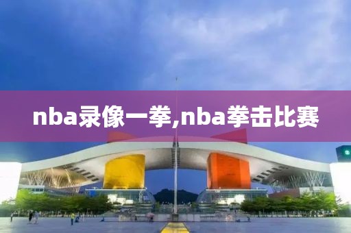 nba录像一拳,nba拳击比赛-第1张图片-懂球帝