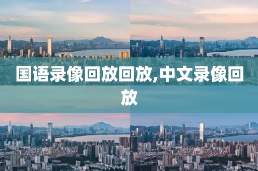 国语录像回放回放,中文录像回放-第1张图片-懂球帝