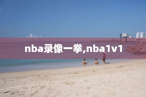 nba录像一拳,nba1v1-第1张图片-懂球帝