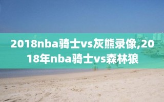 2018nba骑士vs灰熊录像,2018年nba骑士vs森林狼