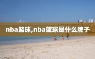 nba篮球,nba篮球是什么牌子