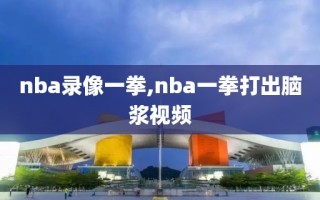 nba录像一拳,nba一拳打出脑浆视频