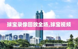 球宝录像回放全场,球宝视频