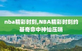 nba精彩时刻,NBA精彩时刻约基奇命中神仙压哨