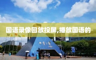 国语录像回放投屏,播放国语的