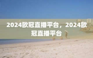 2024欧冠直播平台，2024欧冠直播平台