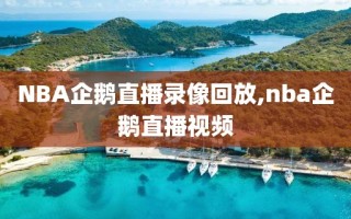 NBA企鹅直播录像回放,nba企鹅直播视频