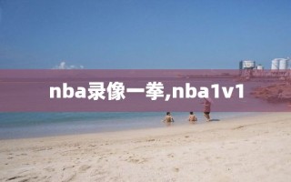 nba录像一拳,nba1v1