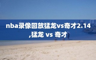 nba录像回放猛龙vs奇才2.14,猛龙 vs 奇才