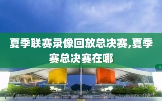 夏季联赛录像回放总决赛,夏季赛总决赛在哪